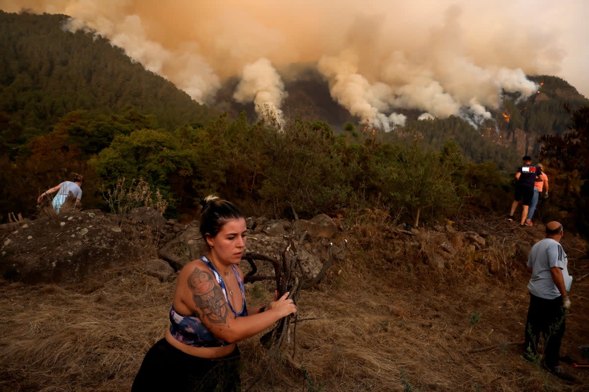 Residents of the town of Aguamansa evacuate their homes as wildfires rage around them (REUTERS)