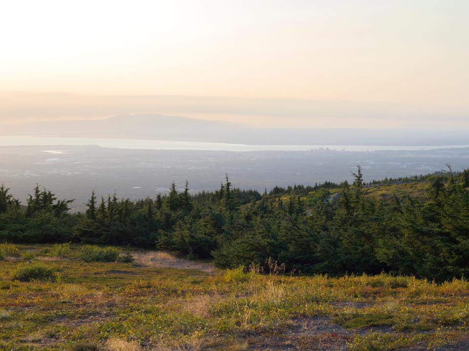 The view of anchorage from flattop peak in alaska with trees