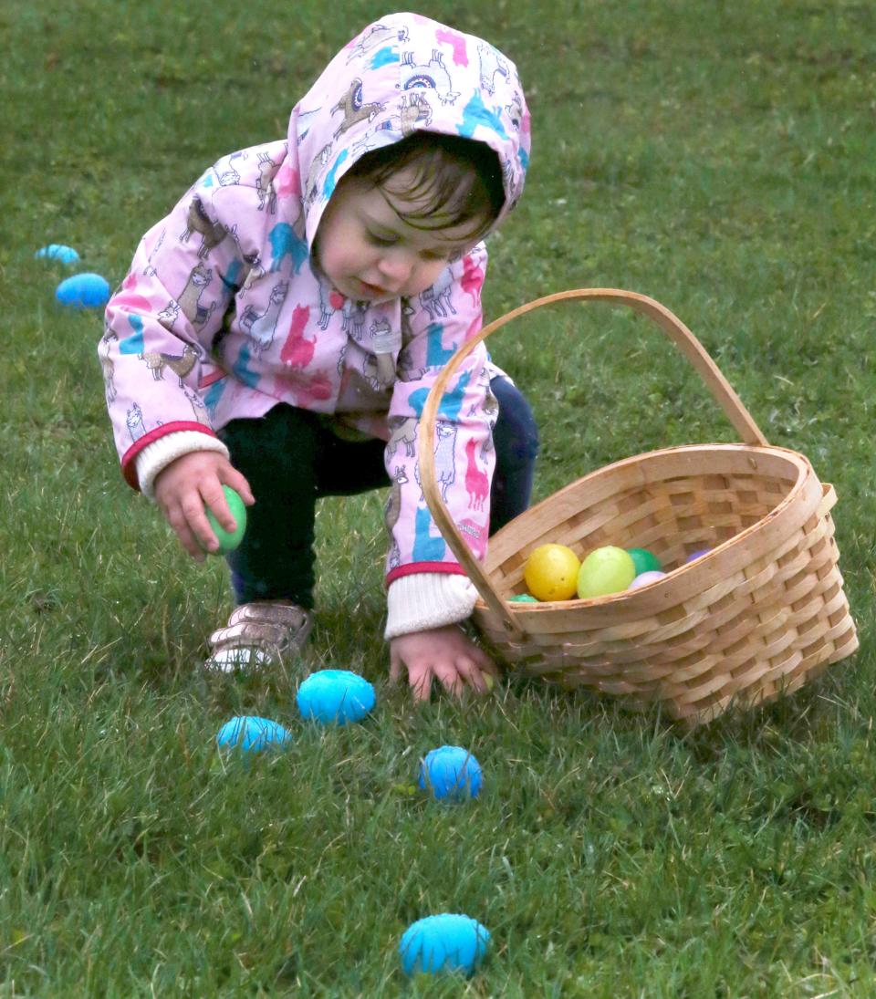 Brynleigh Habib collects eggs during the North Canton Jaycees' annual Easter Egg Hunt in North Canton in April 2022.