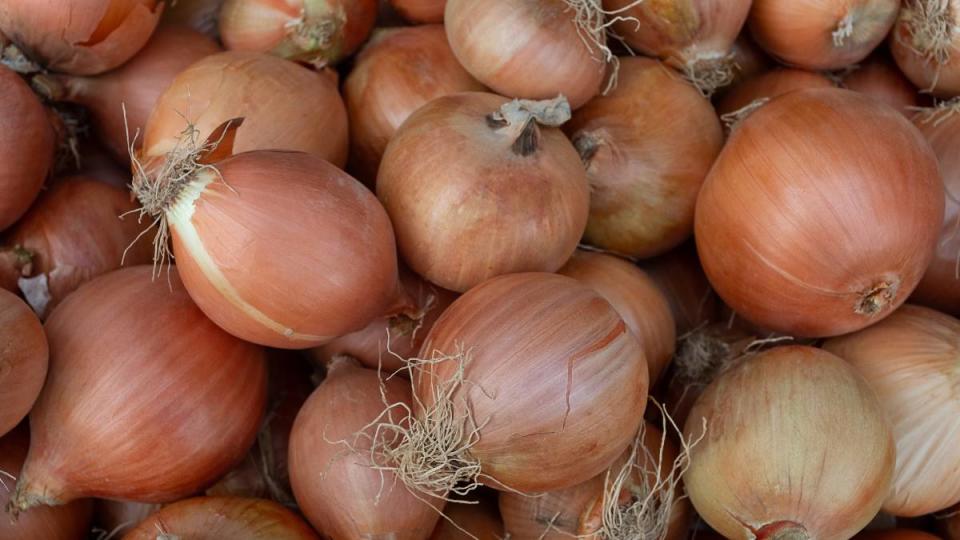 Mold-proof onions in the pantry