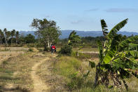 People walk through farmland near Carmen, Philippines, May 6, 2024. A growing type of insurance, called parametric insurance, is helping farmers and others in developing countries respond to extreme weather events. (Bill Spindle/Cipher News via AP)