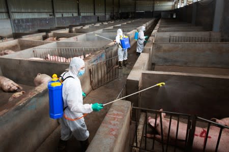 FILE PHOTO: Local husbandry and veterinary bureau workers in protective suits disinfect a pig farm as a prevention measure for African swine fever, in Jinhua, Zhejiang