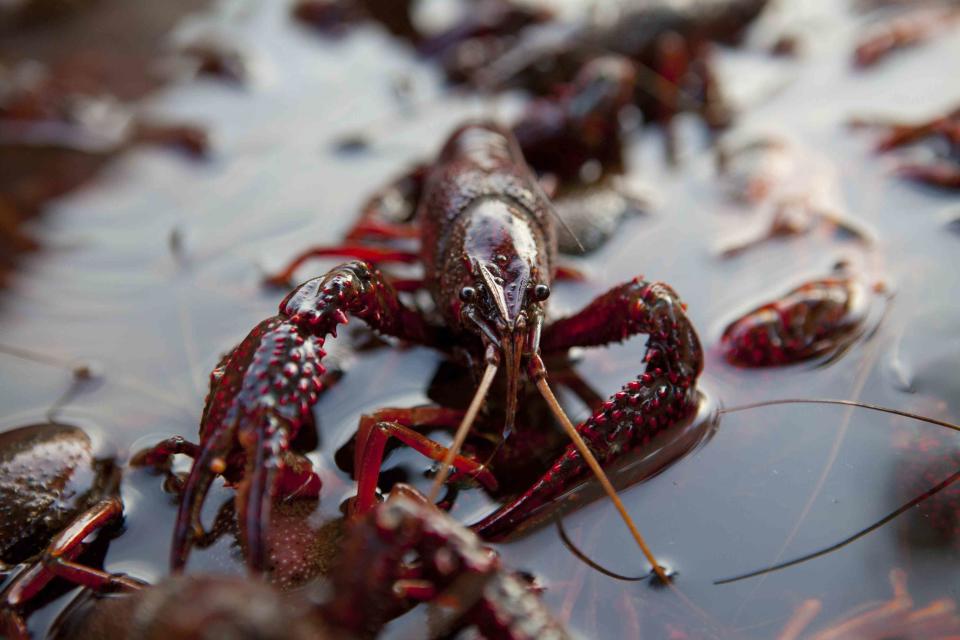 <p>Philip Gould / Getty Images</p>