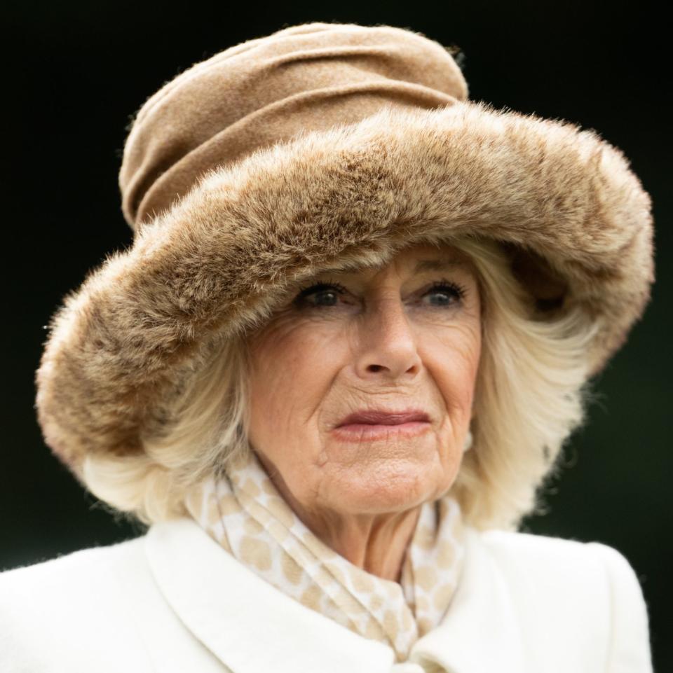Camilla became referred to as Queen Consort - Samir Hussein