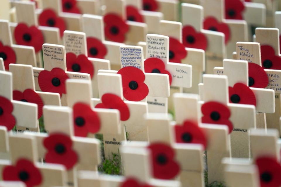 Rows of poppies on crosses are laid out in the Field of Remembrance outside Westminster Abbey (Victoria Jones/PA) (PA Wire)