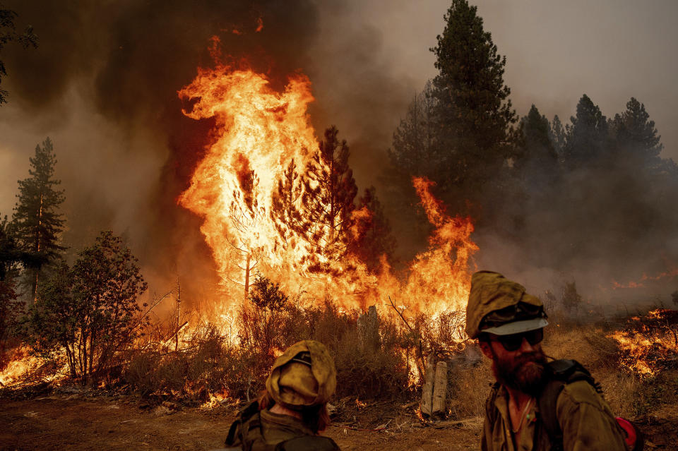 Alex Nelson monitors a backfire, flames lit by firefighters to burn off vegetation, while battling the Mosquito Fire in the Volcanoville community of El Dorado County, Calif., on Friday, Sept. 9, 2022. Nelson is part of Alaska's Pioneer Peak Interagency Hotshot crew. (AP Photo/Noah Berger)