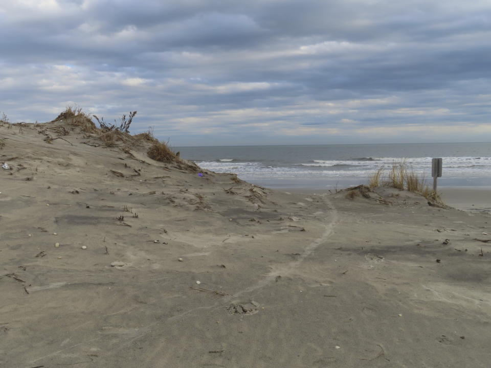 Large chunks of the sand dune on a beach in North Wildwood, N.J. are missing in this Jan. 5, 2023 photo. North Wildwood, which is defying a state order not to do emergency repairs to its eroded beach, is suing New Jersey for $21 million, asserting it has spent that amount trucking sand in to widen its beaches in the absence of a government beach replenishment project. (AP Photo/Wayne Parry)