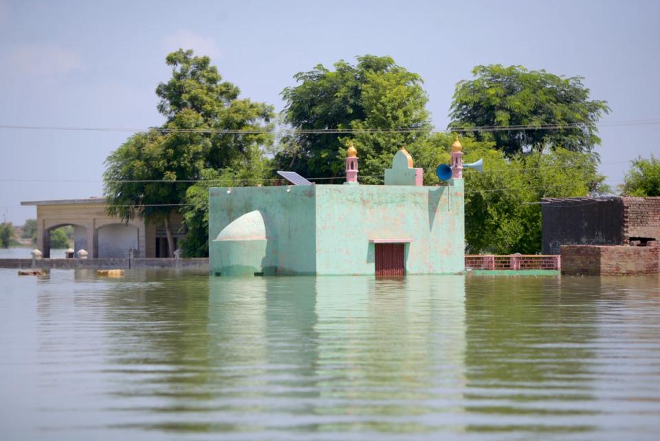 A mosque submerged in floodwater in Khairpur Nathan Shah (Akifullah Khan/DEC)