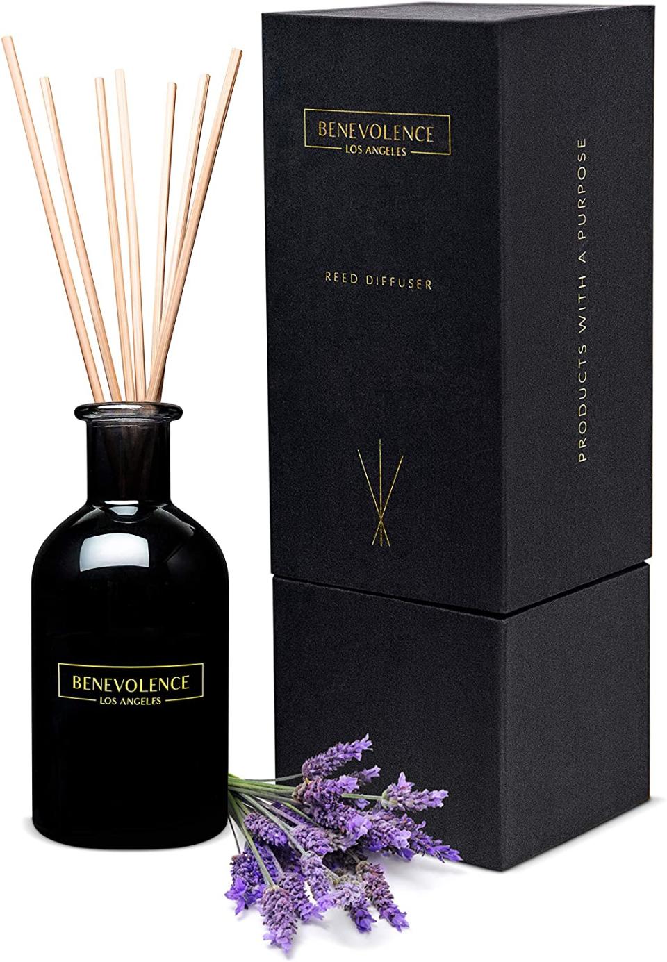 Benevolence LA Store reed diffuser, best reed diffusers