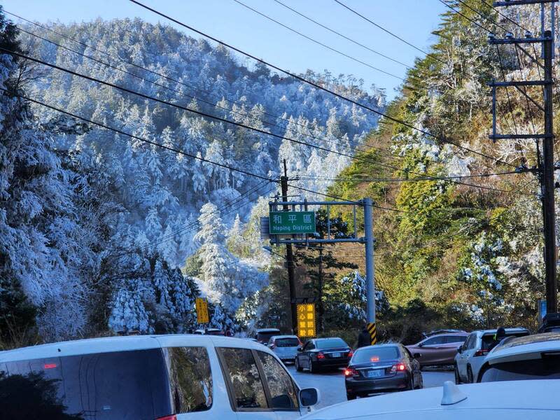 思源埡口昨晚下雪，今早今日清晨殘雪還在，加上早晨的霧淞冰霰，現場呈現夢幻的銀白美景。   圖：武陵農場／提供