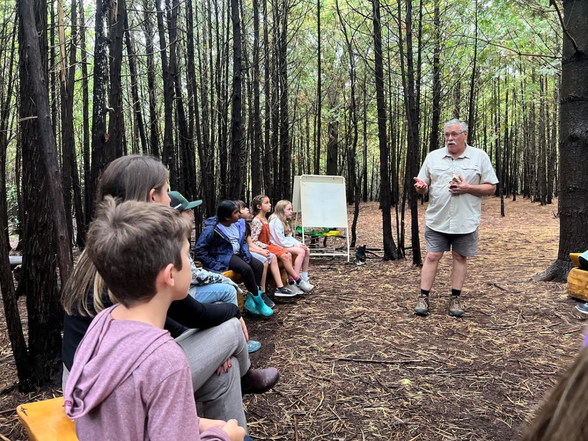 These kids learn from the forest, as their teacher aims to weave climate education into more lessons