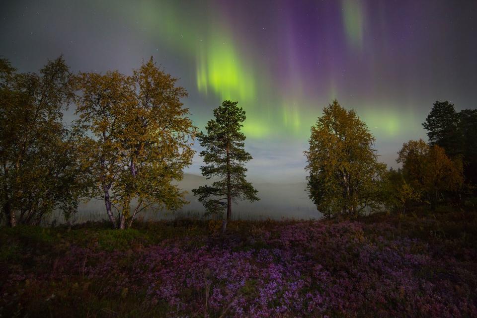 Best time to see the Northern Lights: Why you should go in autumn