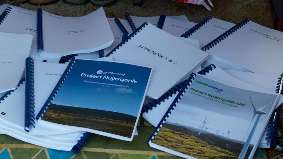 World Energy GH2's environmental assessment is 4,000 pages long. 