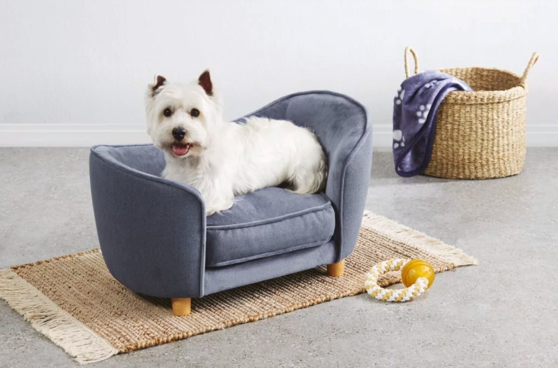 Aldi pampered pooch dog bed special buy