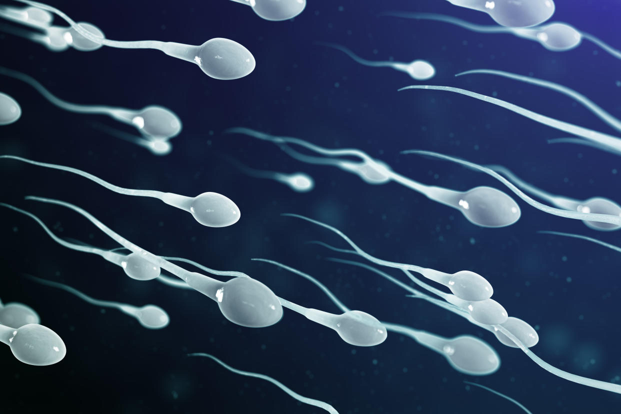 3D illustration sperm approaching egg cell, ovum. Natural fertilization - close-up view. Conception, the beginning of a new life. Sperm under the microscope. Movement sperm