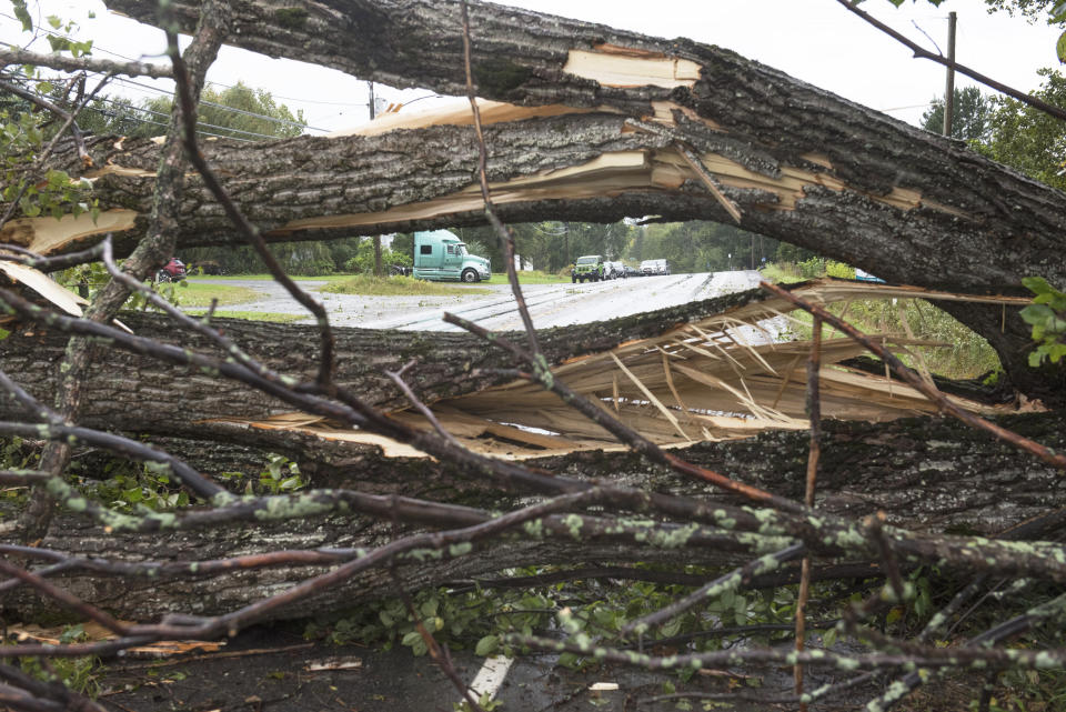 Motorists wait for a tree to be cleared that fell on Woodstock Road in Fredericton, N.B., on Saturday, Sept. 16, 2023. Severe conditions were predicted across parts of Massachusetts and Maine, and hurricane conditions could hit the Canadian provinces of New Brunswick and Nova Scotia, where the storm, Lee, downgraded early Saturday from hurricane to post-tropical cyclone, was expected to make landfall later in the day. (Stephen MacGillivray /The Canadian Press via AP)