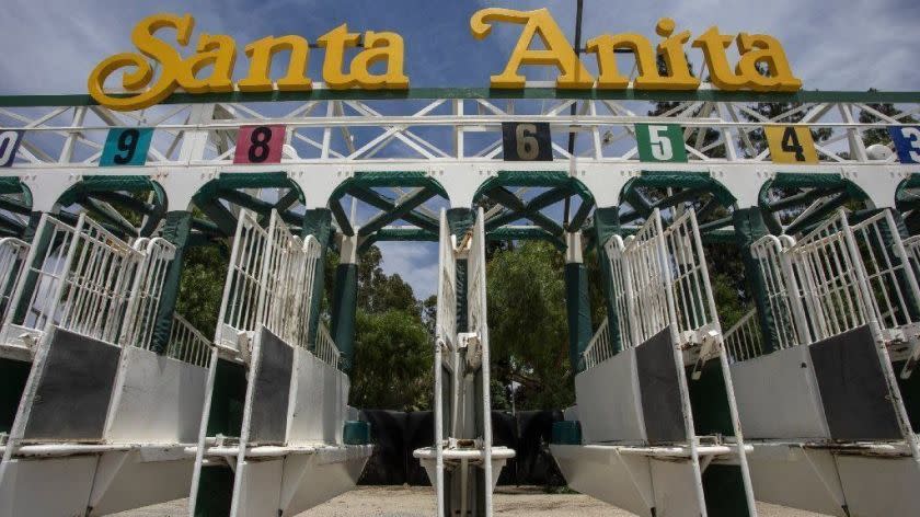 California Horse Racing Board Ask Santa Anita Horse Track To Cancel Rest Of Season, Track Says No