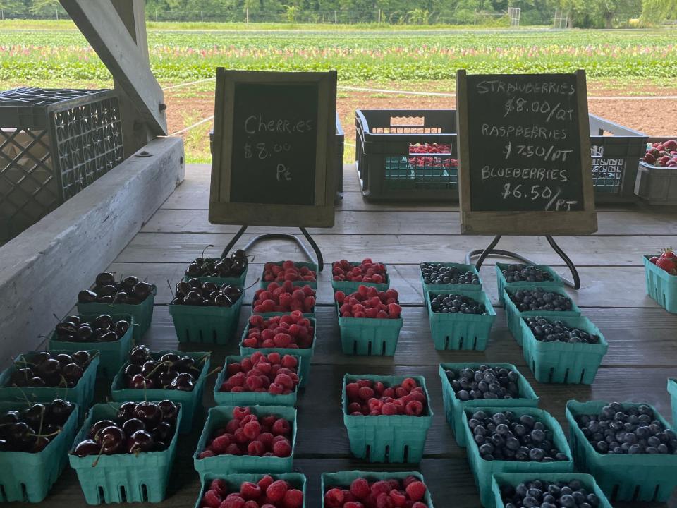 berries hamptons