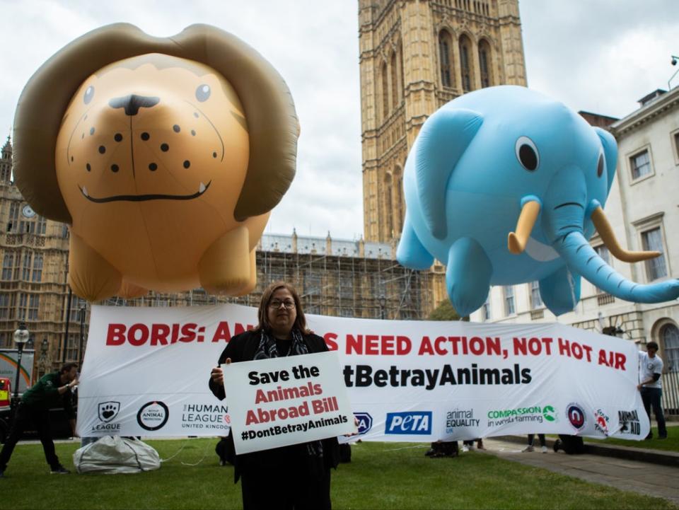 Protests outside parliament against the dropping of the bill (HSI/UK)