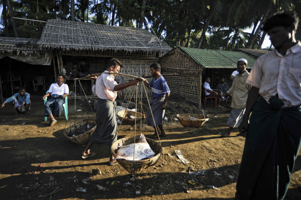 In this Nov. 29, 2013 photo, Rohingya men carry baskets of fish near the The' Chaung refugee camp on the outskirts of Sittwe, Myanmar. About 1.3 million Rohingya Muslims live in the predominantly Buddhist country of 60 million. Myanmar considers them illegal immigrants from neighboring Bangladesh, though some families have lived here for generations. (AP Photo/Kaung Htet)