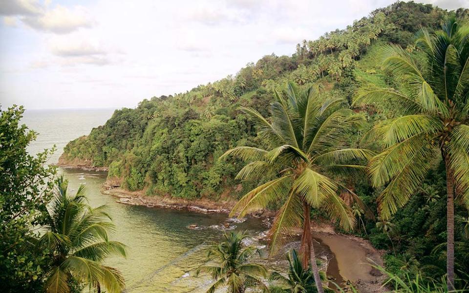 Some Caribbean islands are all about the scenery – mountainous, rainforest-cloaked Dominica is a case in point 