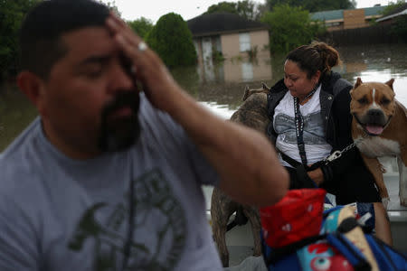 Residents and their pets are evacuated after heavy downpours unleashed flash floods in Mercedes, Texas, U.S., June 20, 2018. REUTERS/Adrees Latif