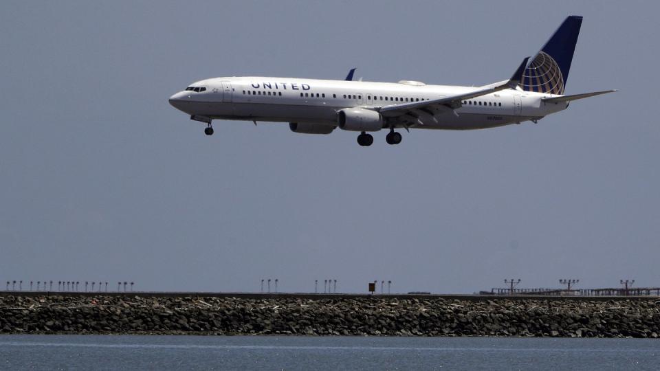 Vierbeiner bereiten der United Airlines im Moment ein tierisches Problem. Unter anderem wurde ein Schäferhund irrtümlich nach Japan befördert. Foto: Marcio Jose Sanchez