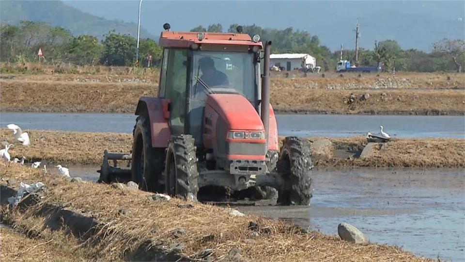 水圳入水量剩往年6成！台東池上、關山農田採兩區輪灌