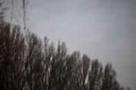 A sky and treetops above the Auschwitz death camp are pictured in Oswiecim