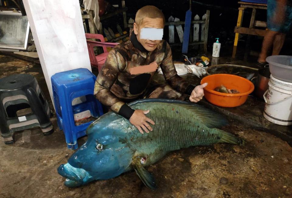 蘭嶼和綠島民眾喻為「觀光使者」的保育類龍王鯛在小年夜發生疑遭獵捕（中央社／民眾提供）