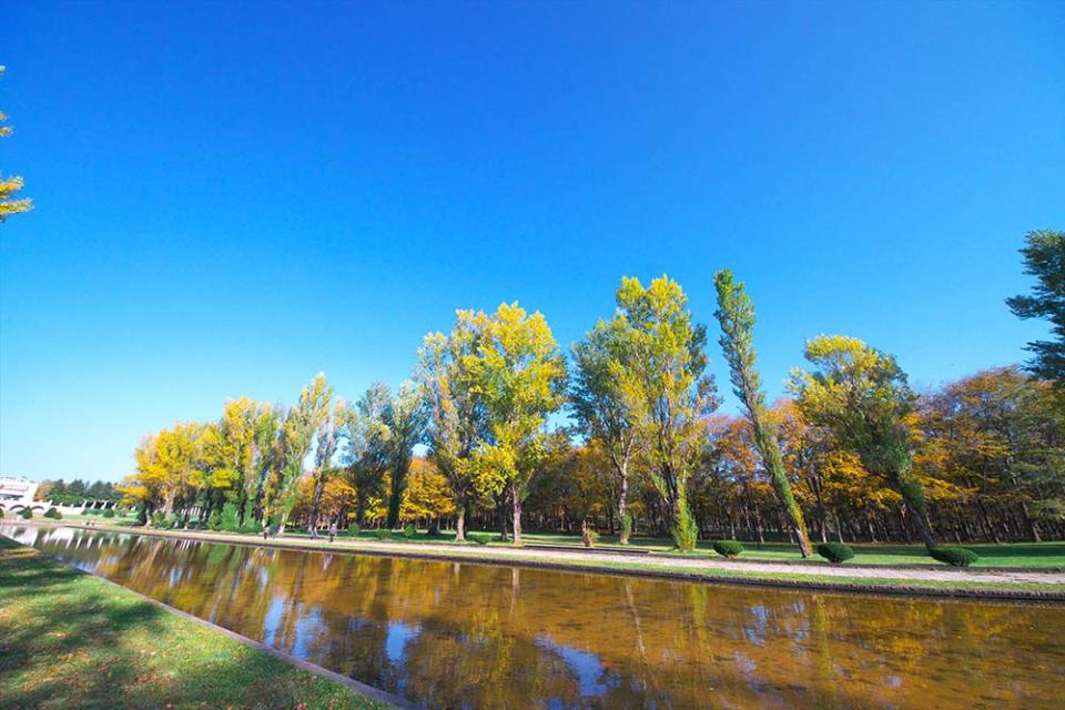 前田森林公園（Image Source : Getty Creative/iStockphoto）