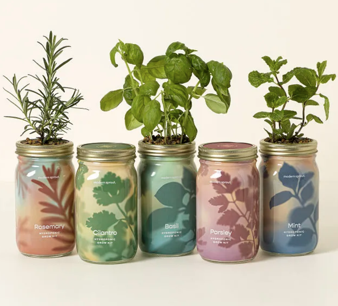 <p><a href="https://go.redirectingat.com?id=74968X1596630&url=https%3A%2F%2Fwww.uncommongoods.com%2Fproduct%2Fmason-jar-indoor-herb-garden&sref=https%3A%2F%2Fwww.countryliving.com%2Fshopping%2Fgifts%2Fg4835%2Fbirthday-gifts-for-mom%2F" rel="nofollow noopener" target="_blank" data-ylk="slk:Shop Now;elm:context_link;itc:0;sec:content-canvas" class="link rapid-noclick-resp">Shop Now</a></p><p>Mason Jar Indoor Herb Garden</p><p>uncommongoods.com</p>