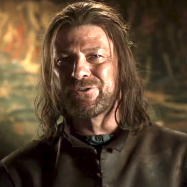 Ned Stark from Game of Thrones, with a solemn expression, wearing a dark medieval outfit