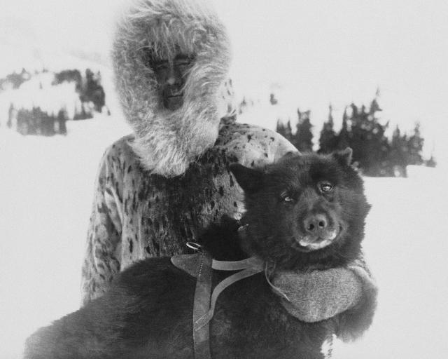 FILE - Gunnar Kaasen and with his dog Balto, the heroic dogsled team leader, sit for a portrait in the early 1920s. As a part of the Zoonomia Project, with 11 papers published Thursday, April 27, 2023, in the journal Science, by comparing Balto’s genes to those of other dogs, researchers found he was more genetically diverse than modern breeds and may have carried genetic variants that helped him survive harsh conditions. The Zoonomia Project is an international effort comparing the genetic blueprints of an array of animals, including this species, and some of the discoveries were shared in 11 papers published Thursday, April 27, 2023, in the journal Science. (AP Photo, File)