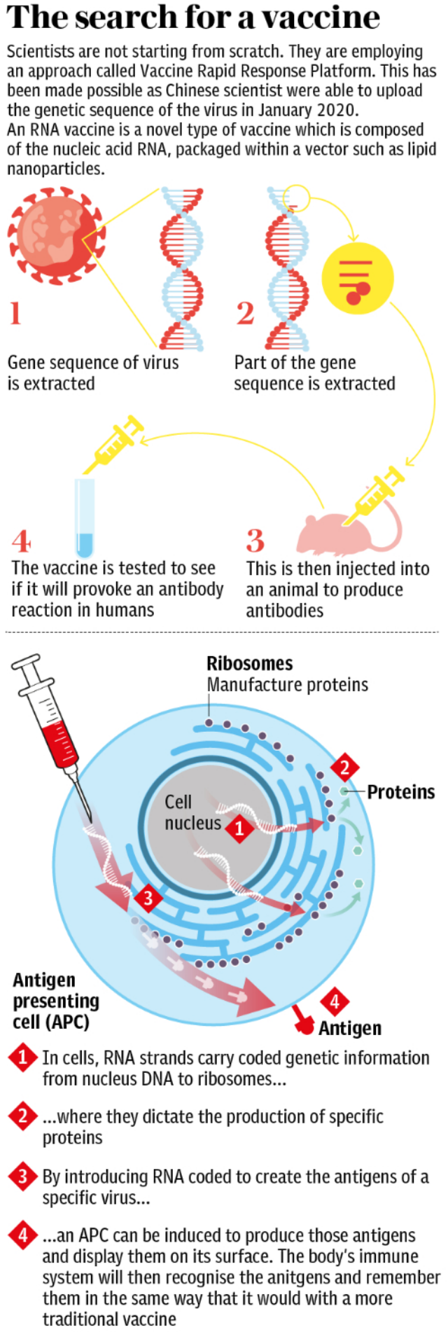 Vaccine for Coronavirus