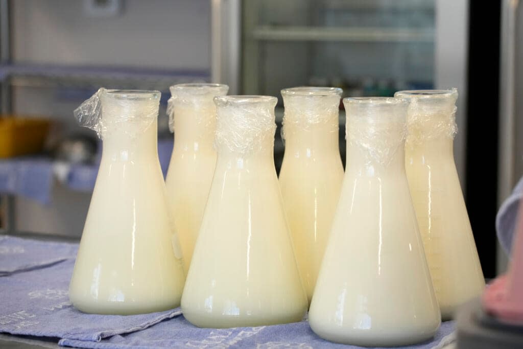 Bottles of frozen milk donated by lactating mothers wait to be loaded into refrigerators for distribution to babies Friday, May 13, 2022, at the Mothers’ Milk Bank foundation’s headquarters in Arvada, Colo. (AP Photo/David Zalubowski)