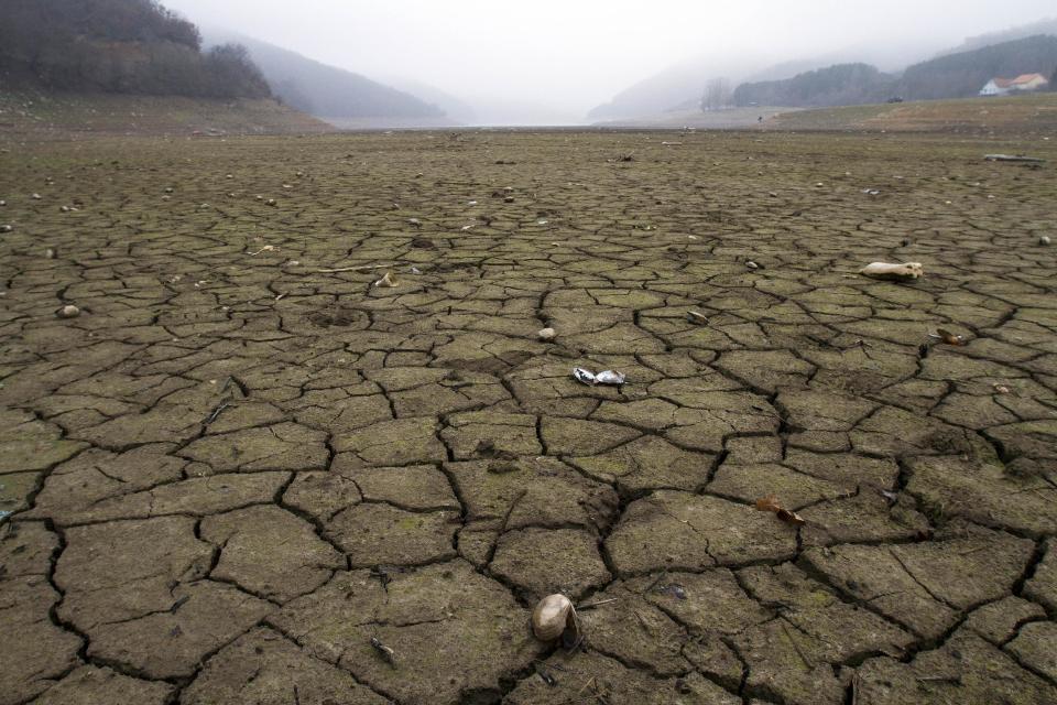 Freshwater mussels lie in the cracked dry bed of Batllava artificial lake in northern Kosovo on Wednesday, Jan. 8, 2014, after record low water levels threatened to leave hundreds of thousands of people without water supply. Authorities have reduced water supplies for hundreds of thousands of people after an unusually dry winter season. (AP Photo/Visar Kryeziu)