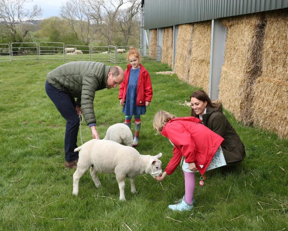 凱特王妃（右）與威廉王子到訪農場。（翻攝wise_chapman推特）