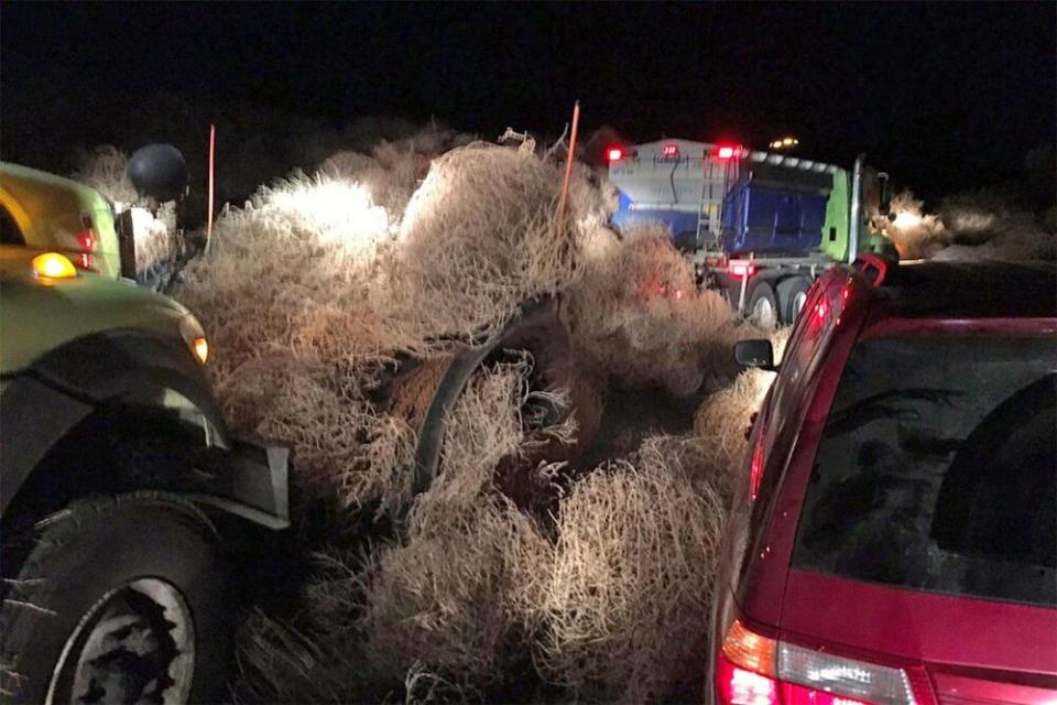 Snowplow removing tumbleweed near Richland, Washington, on Dec. 31, 2019 | Chris Thorson/AP/Shutterstock