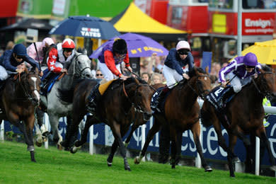 Also known as the Derby Stakes, the Epsom Derby is held in Great Britain and is a roughly 2400 metre race for three-year-old thoroughbred colts and fillies. The total prize pool in this classic race is $1.68 million.