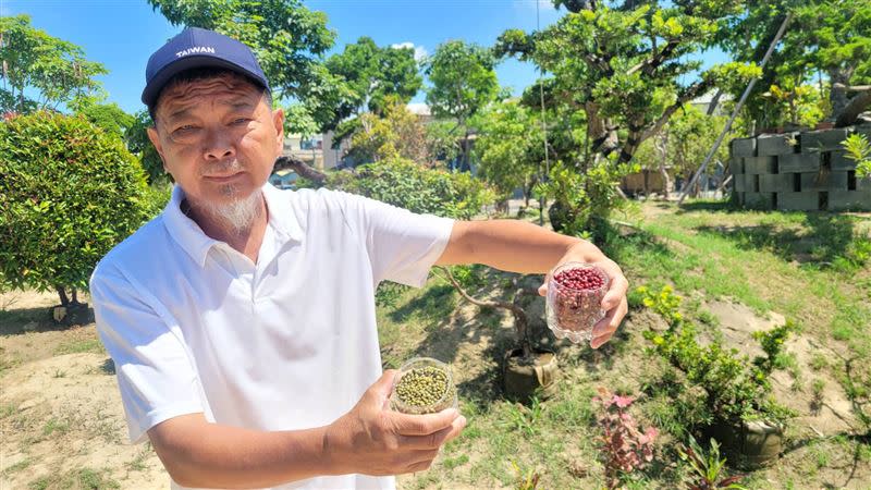 廖大乙說，準備完五色豆後要天天看豆子們一眼，讓氣場、磁場都獲得正能量。（圖／廖大乙提供）