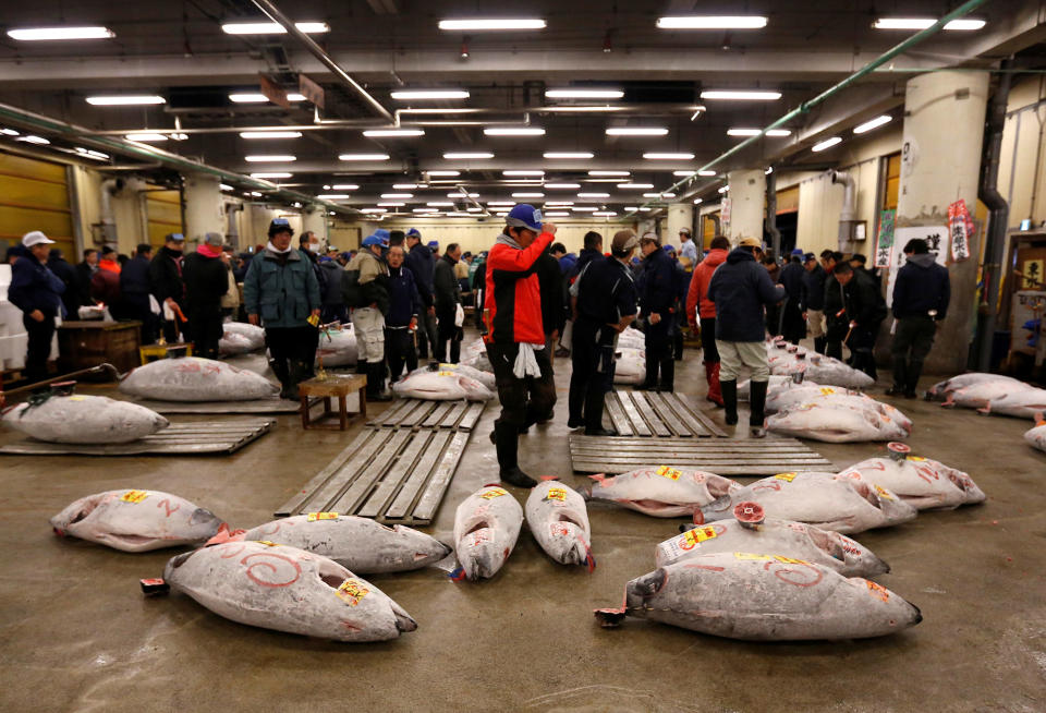 Bidding for tuna at Tsukiji