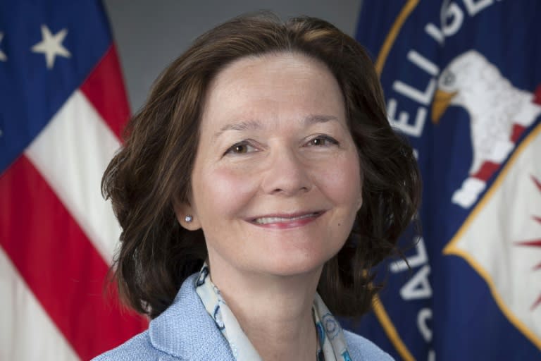 US President Donald Trump has tapped Gina Haspel, a three-decade undercover operative, to lead the CIA