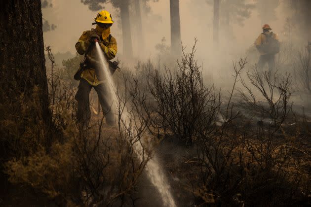 Firefighters extinguish a hot spot during the Dixie Fire in Chester, California. (Photo: San Francisco Chronicle via Getty Images)