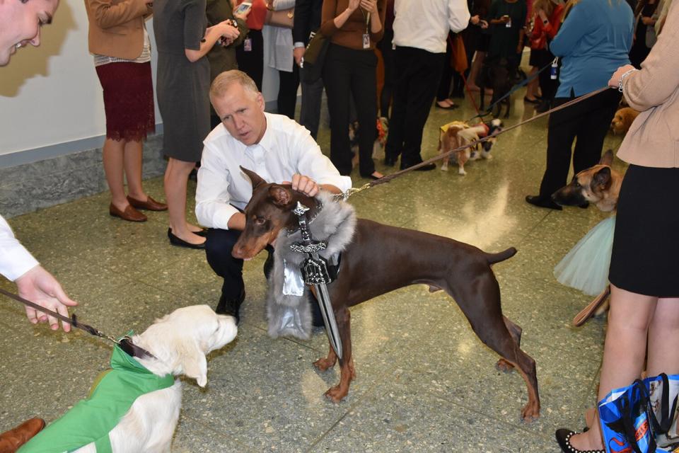 Republican Senator Hosting Annual 'Bipawtisan' Dog Parade