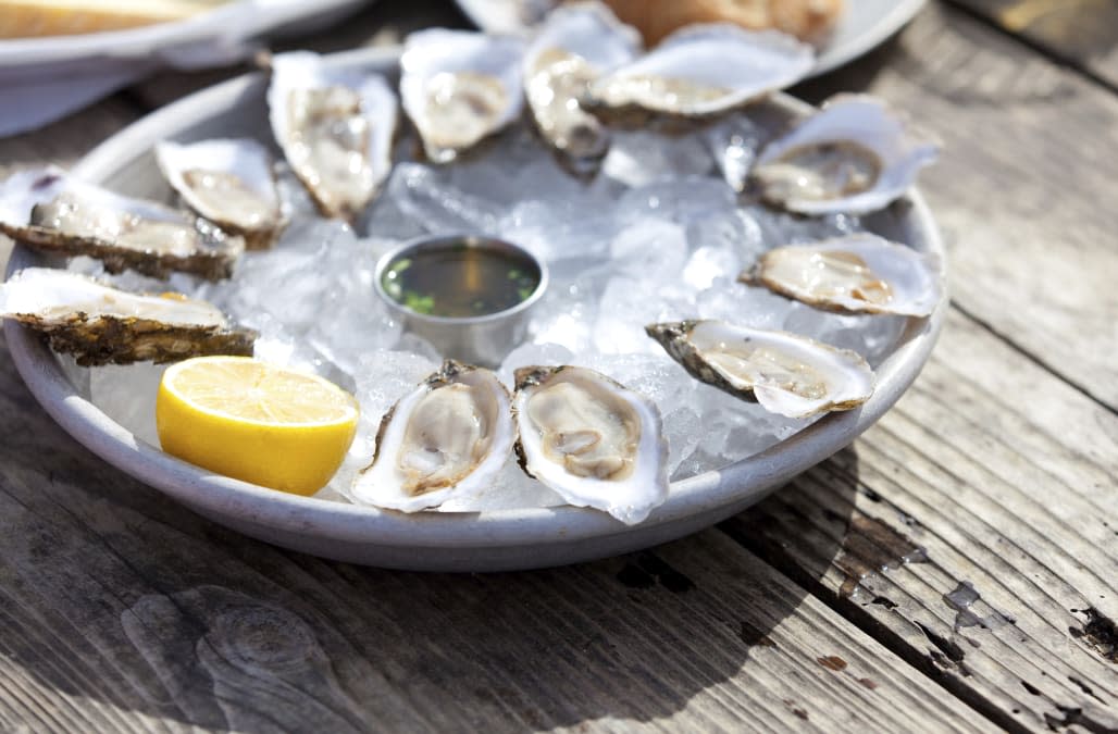 raw oysters