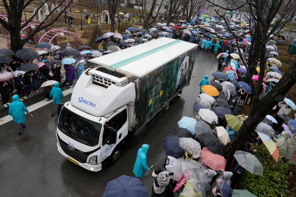 南韓民眾冒雨送別福寶。（AP）