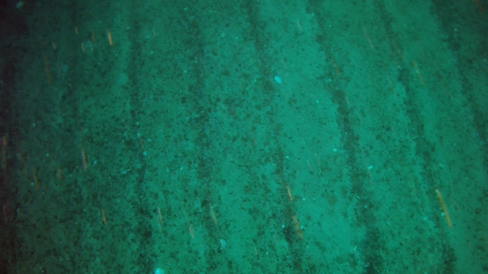 A remote operated vehcile was used to capture images of seabeds. (Open Seas/PA)