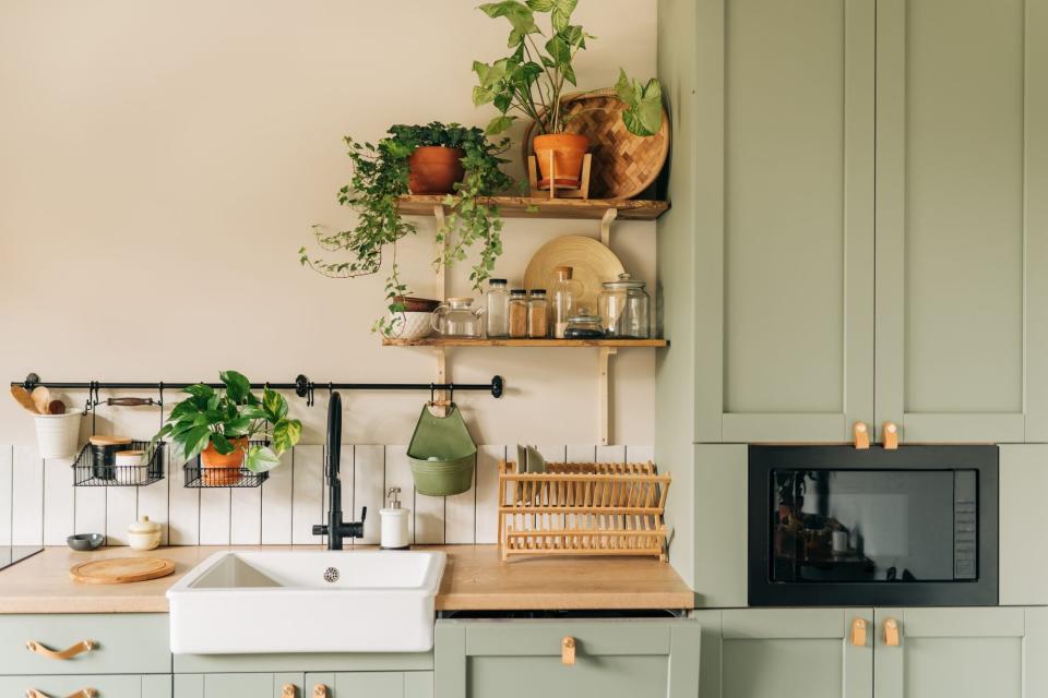 sage green kitchen with lots of plants