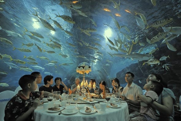 Having Dinner At Subsea Tunnel In Tianjin